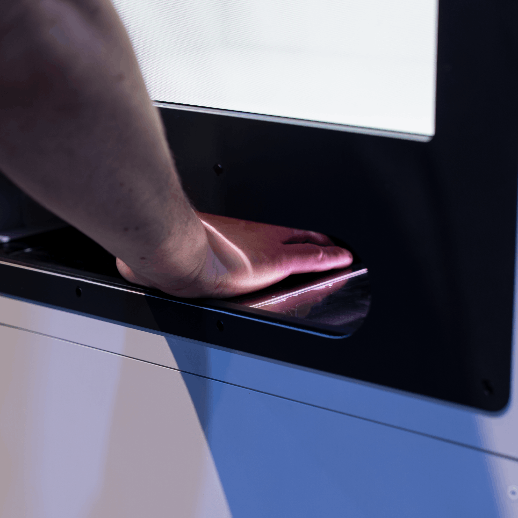 AI-Powered Palm Reading